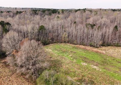 191 AFM West Fork 85 Photo 10