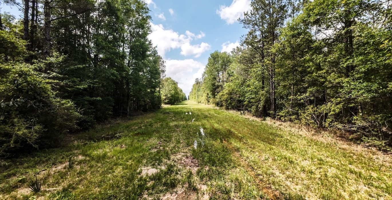 192 DJI 20250516215433 0064 D