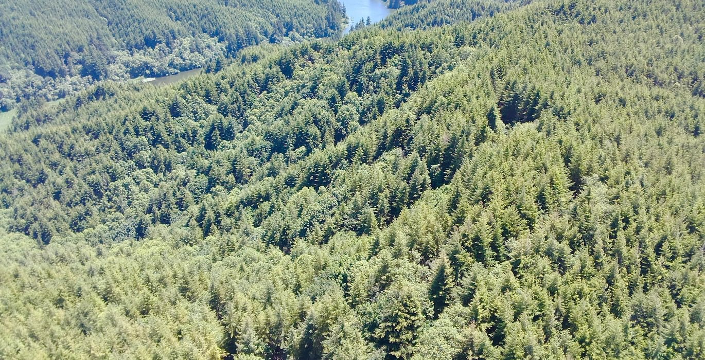 192 IMG20260611185337147