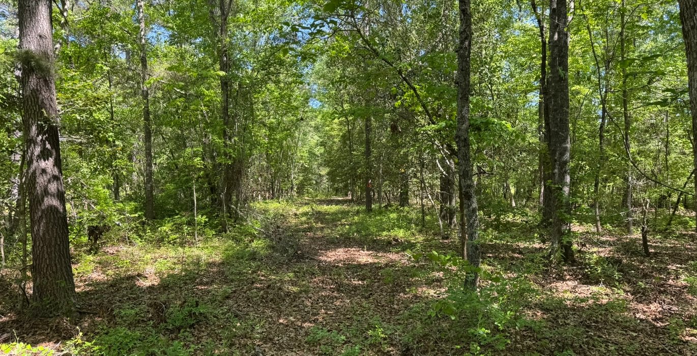 192 IMG 4253 Copy Copy