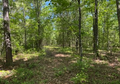 192 IMG 4253 Copy Copy