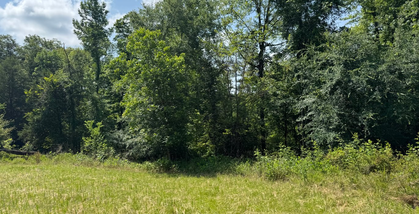 192 IMG 7596