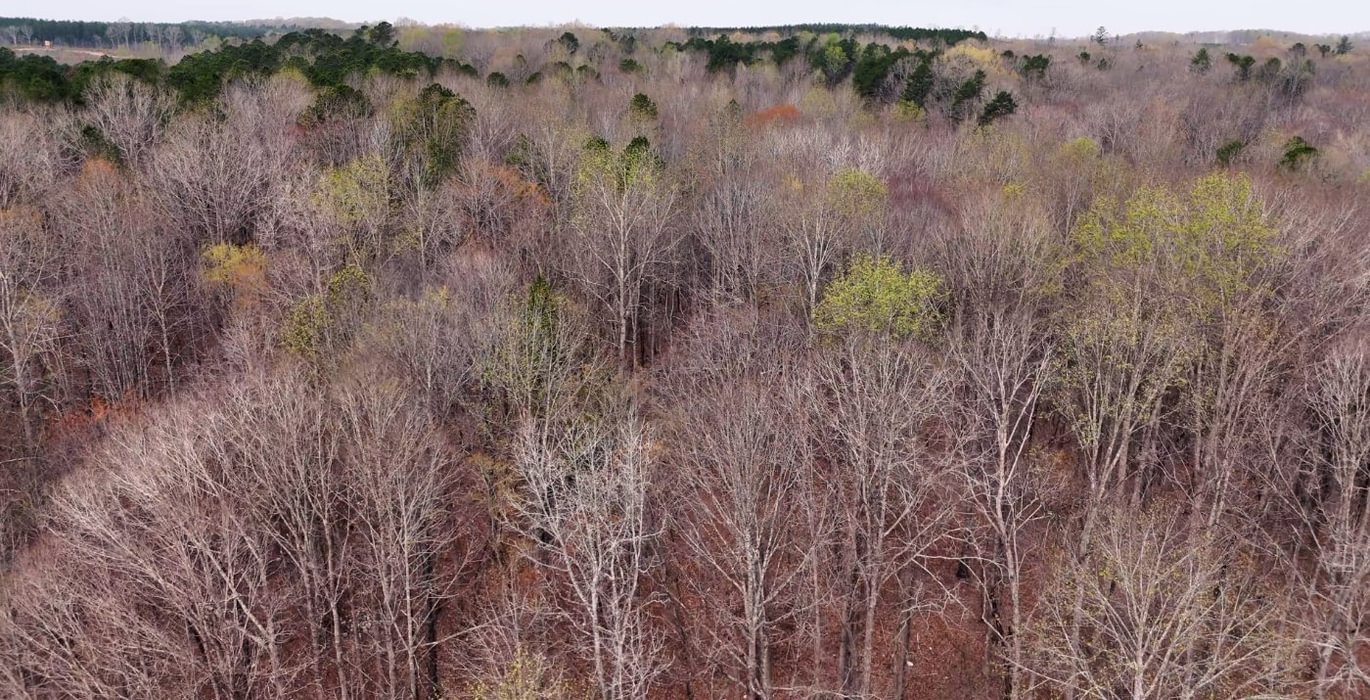 193 AFM West Fork 85 Photo 34