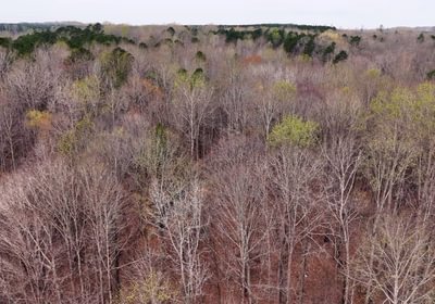 193 AFM West Fork 85 Photo 34