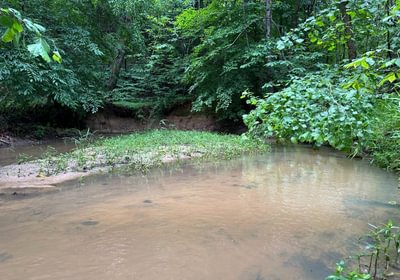 194 IMG 1527