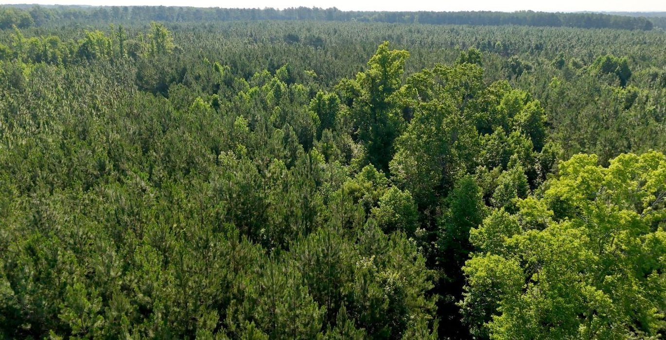 194 Longleaf Mecca Photo 14