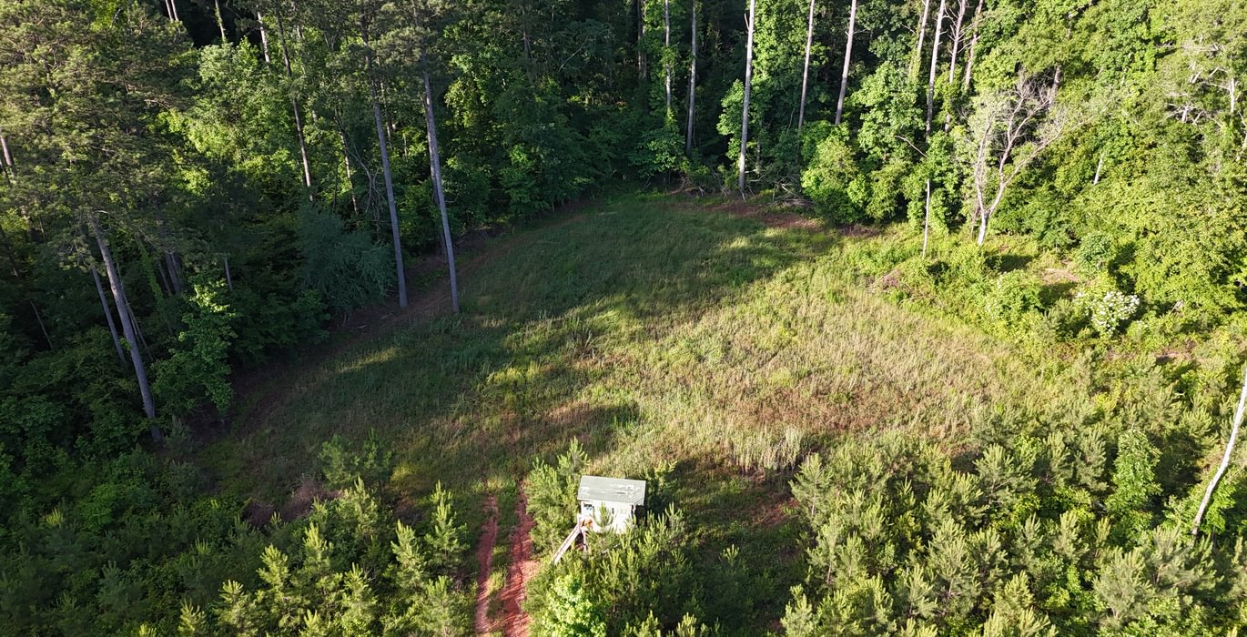 195 DJI 20250523083154 0029 D