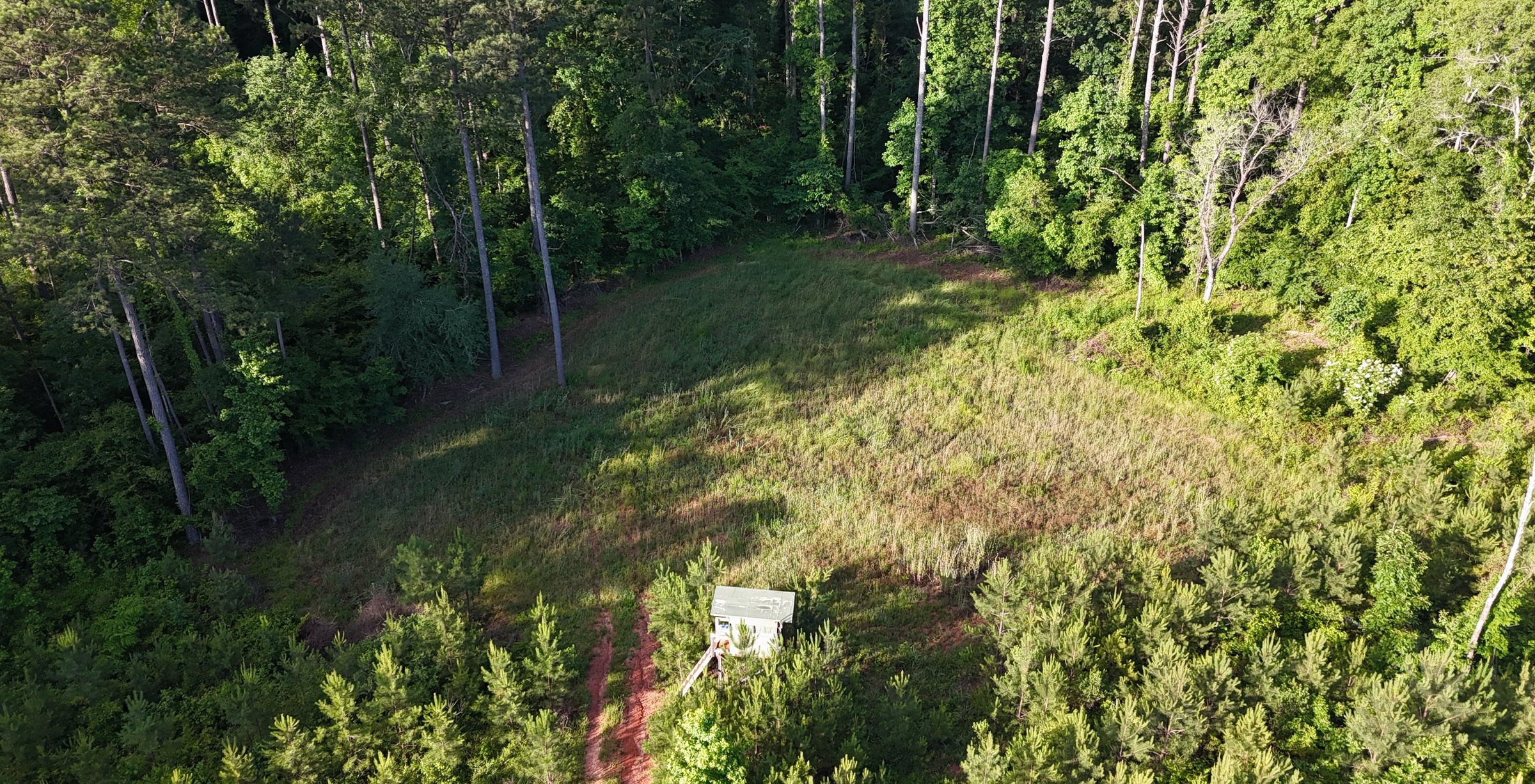 Photo 3 of Wolf Creek - Sportsman Tract, 182 acres, Jasper County, Georgia
