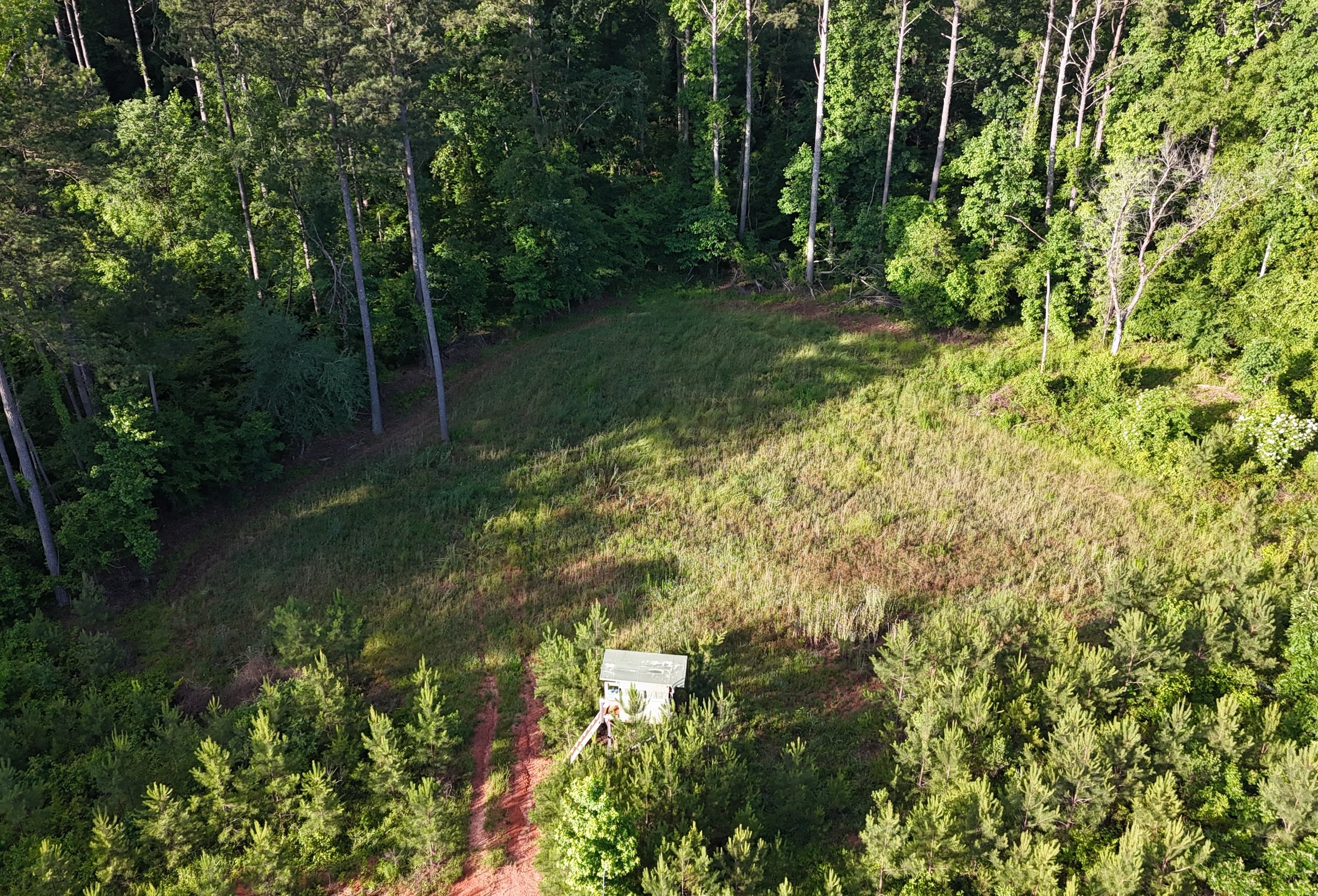 Photo 3 of Wolf Creek - Sportsman Tract, 182 acres, Jasper County, Georgia