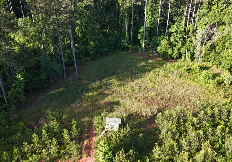 Photo 3 of Wolf Creek - Sportsman Tract, 182 acres, Jasper County, Georgia