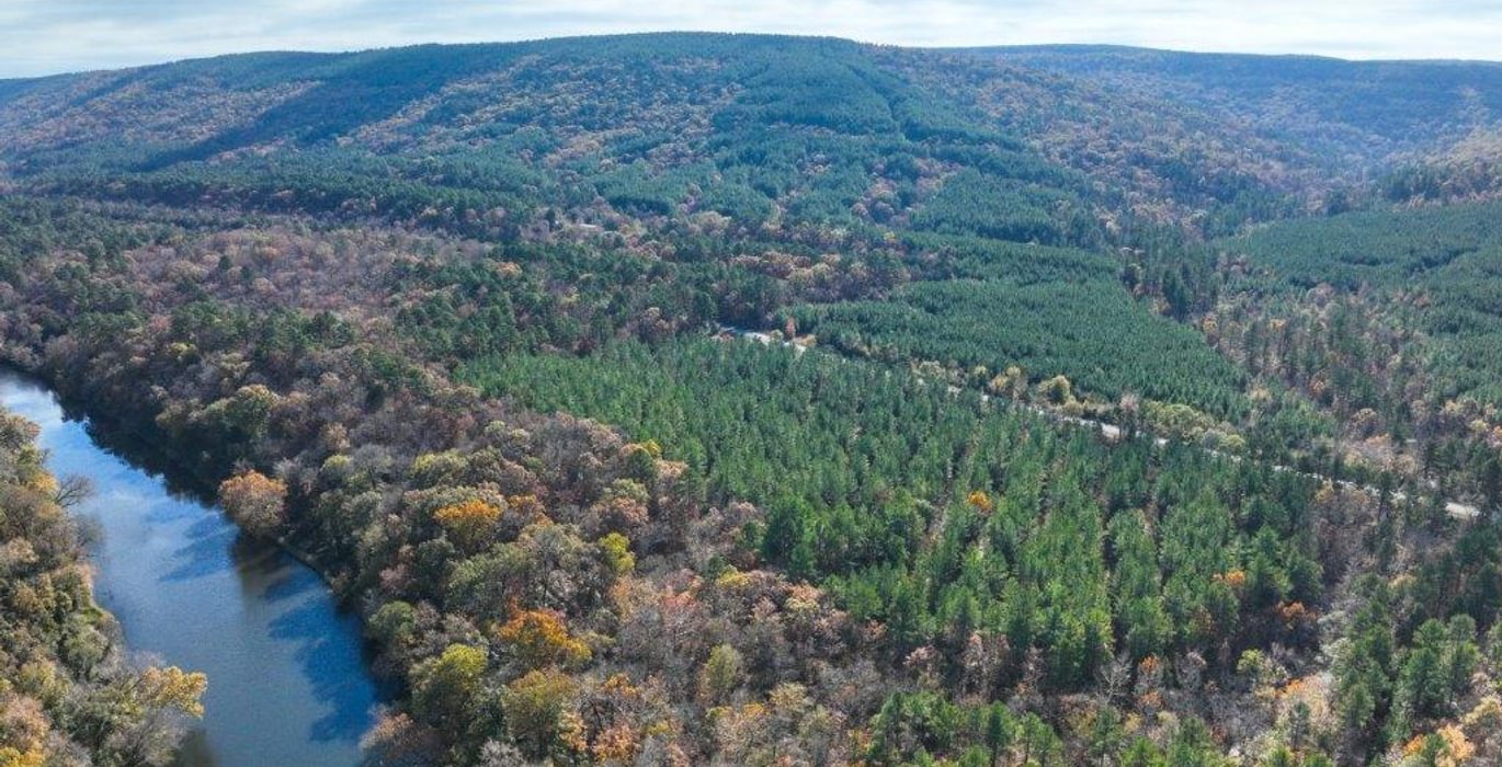 195 DJI 20251113104016 0005 V