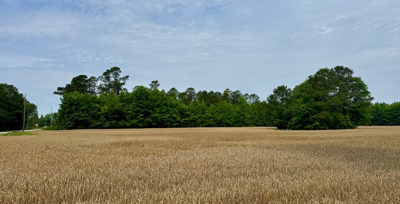 195 IMG 7524