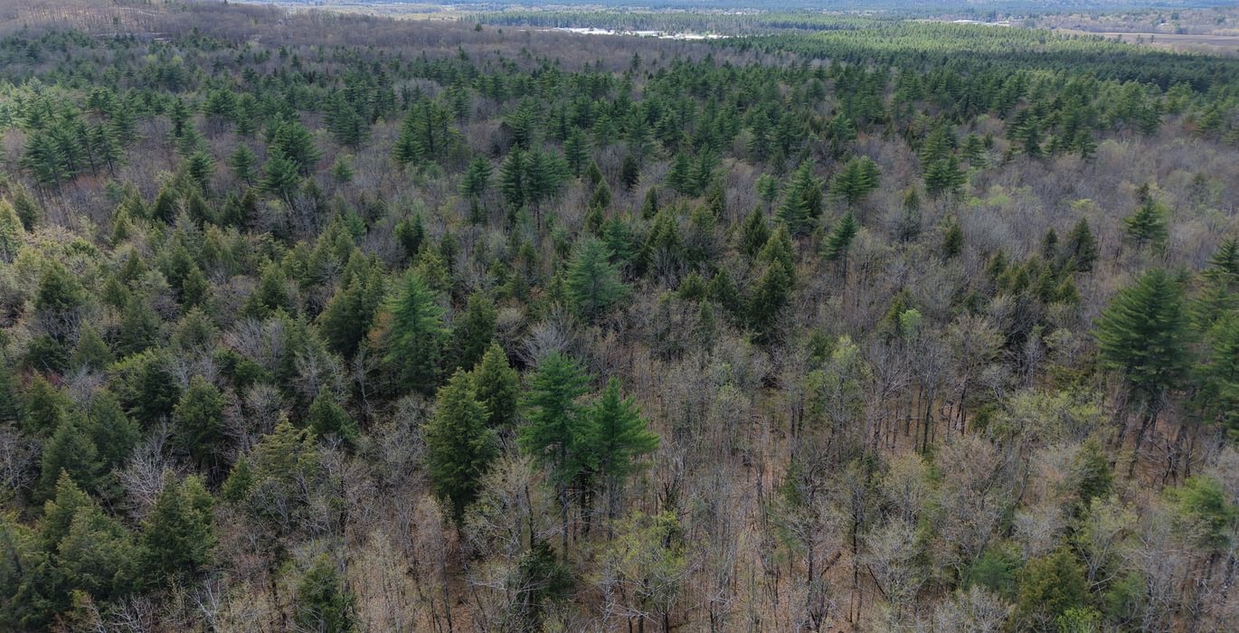 196 Highland drone 3