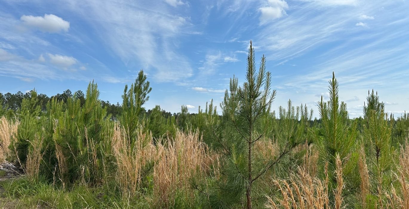 198 IMG 0773