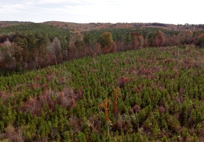 199 AFM Crump Farm Photo 13