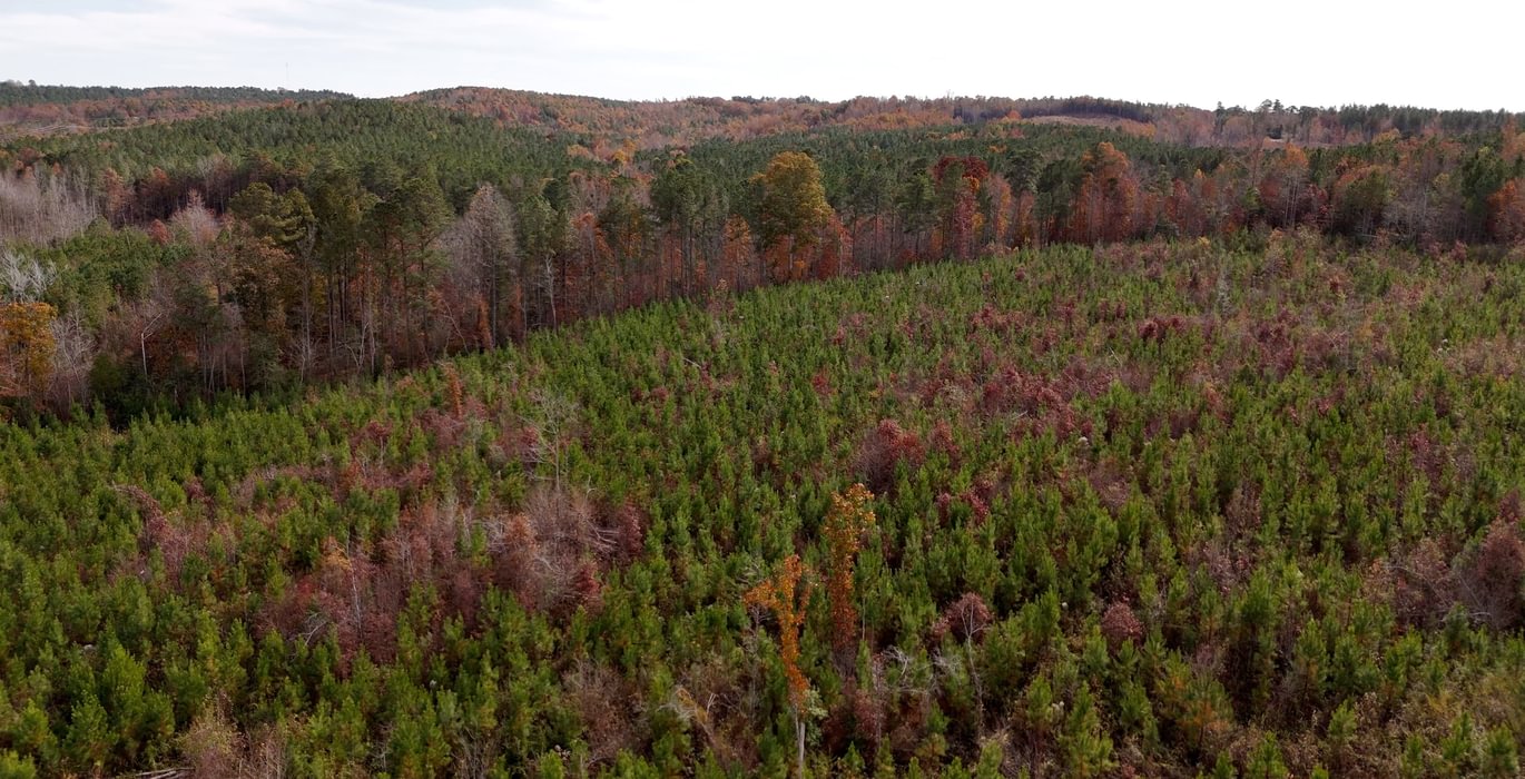 199 AFM Crump Farm Photo 13