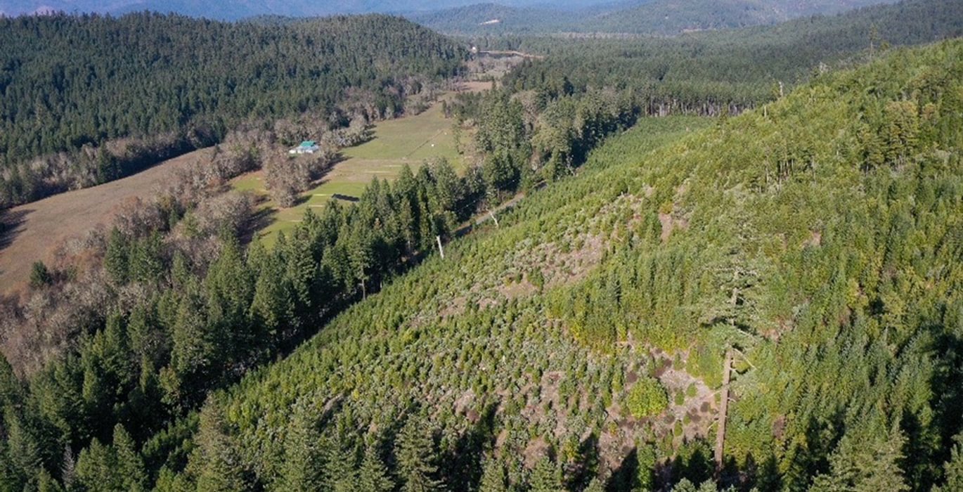 199 Photo Dec 04 2025 10 11 21 PM 26