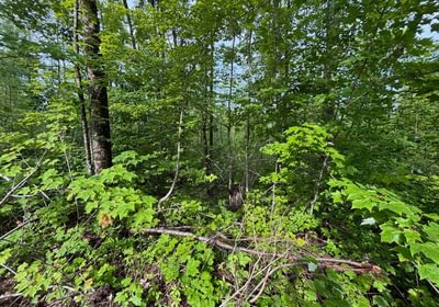 19 A 1