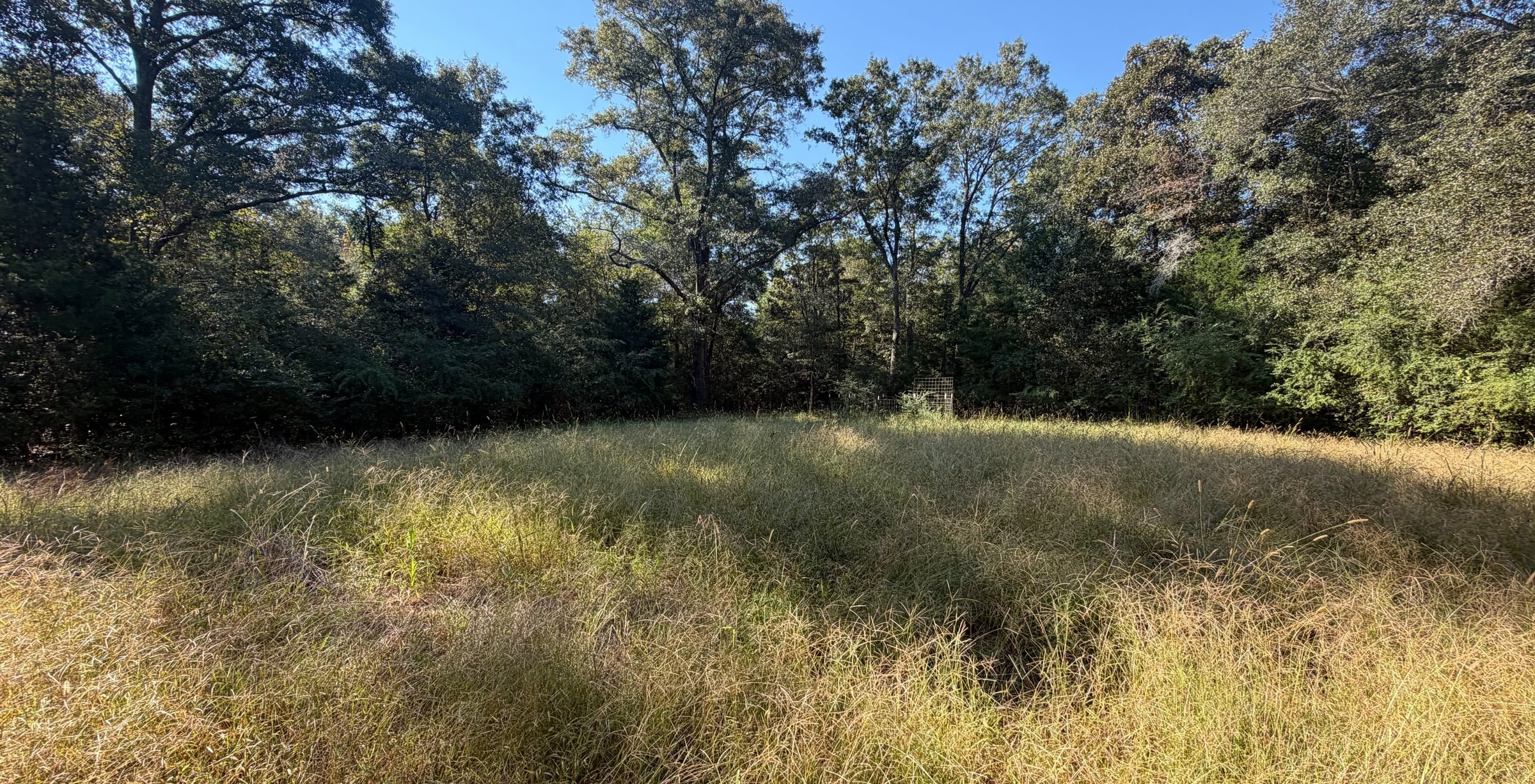 1 IMG 2933