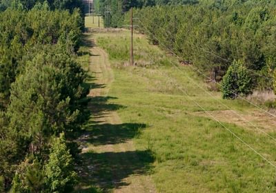 1 Longleaf Mecca Photo 10