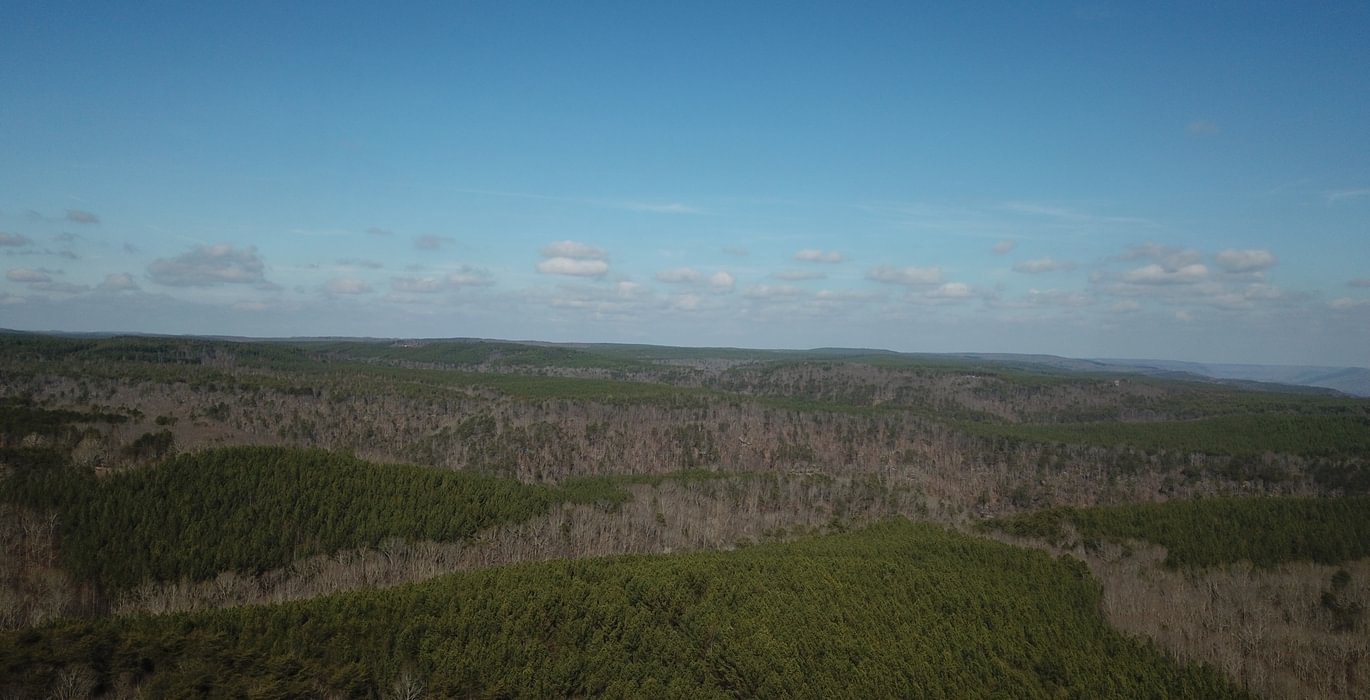 23 DJI 0137