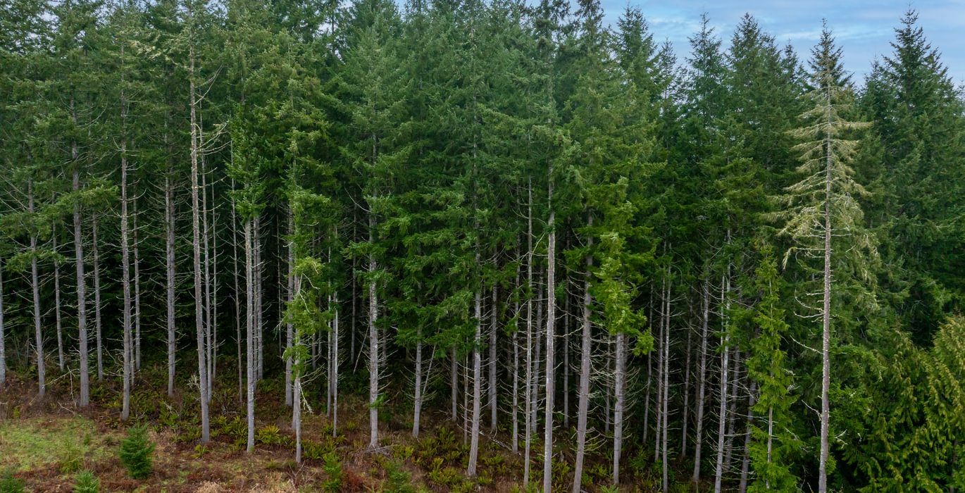 23 DJI 20260222110318 0023 D HLK Edit