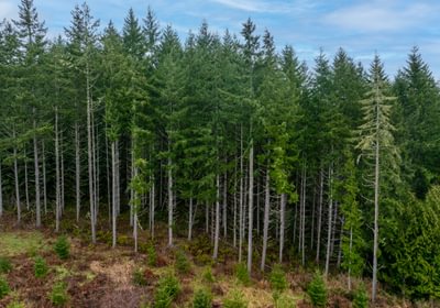 23 DJI 20260222110318 0023 D HLK Edit