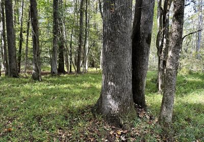23 IMG 79871