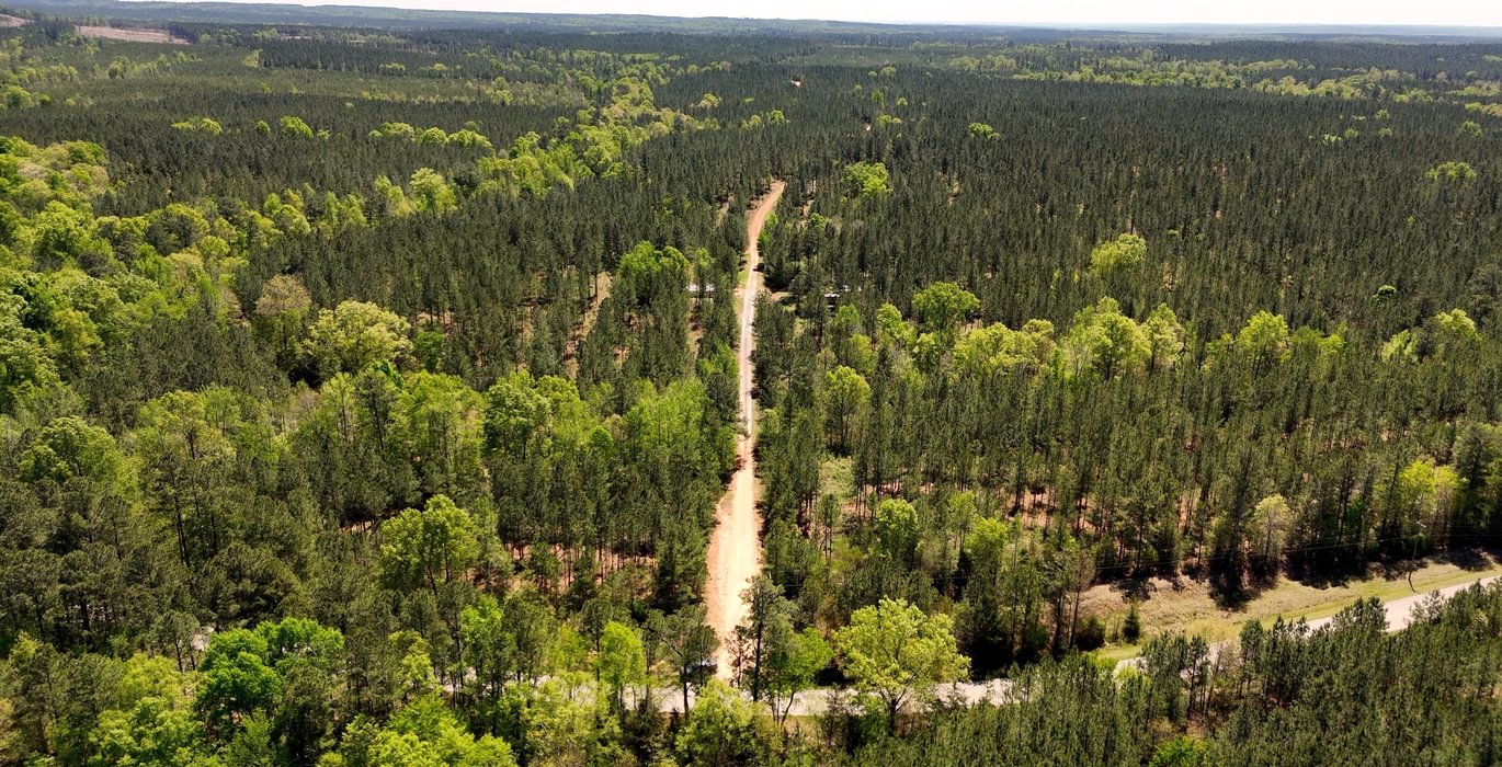 201 AFM Leak Mills Photo 17