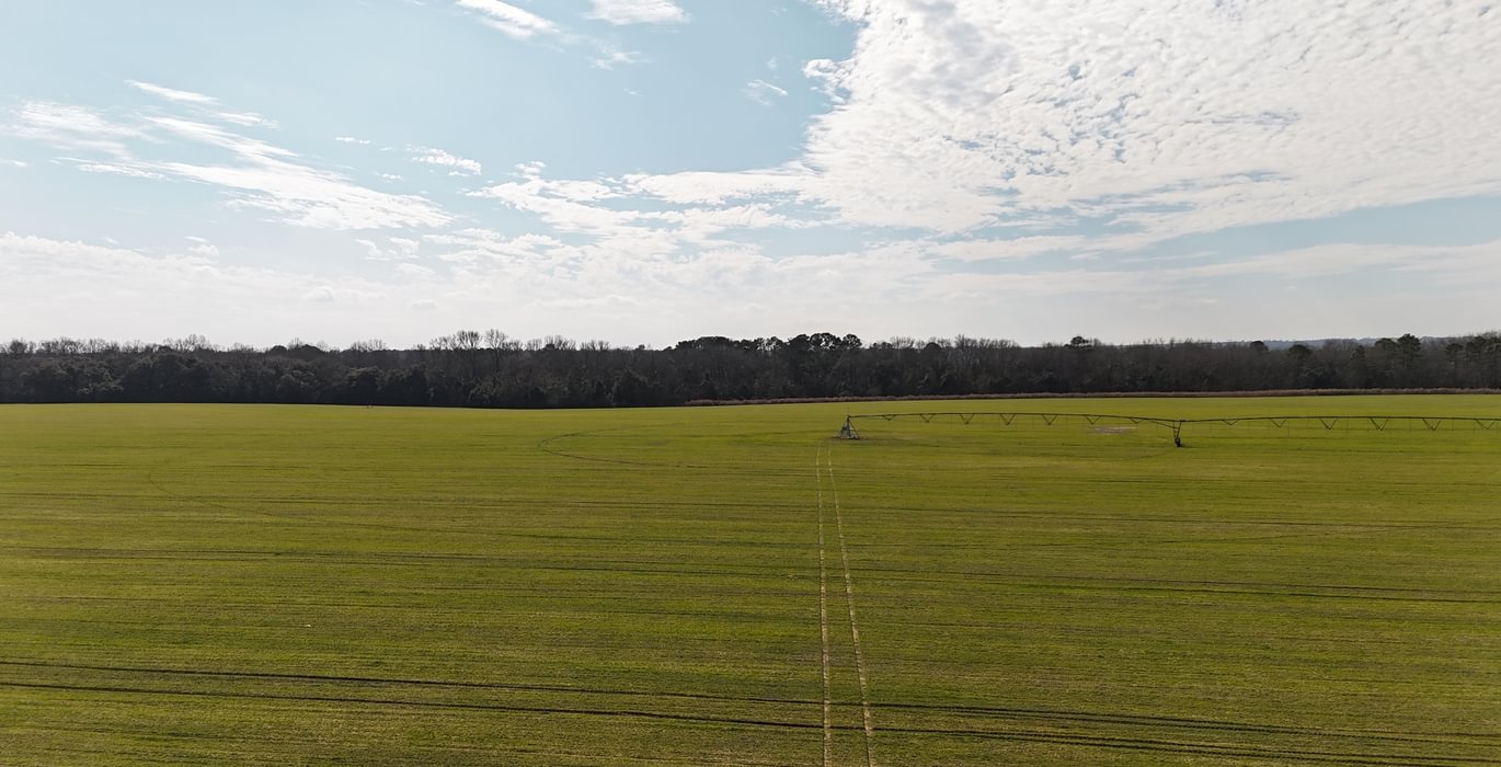 201 DJI 20250206135326 0117 D
