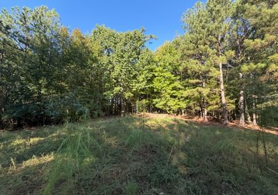 201 IMG 0382