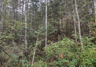 201 IMG 20240923 115616458 HDR