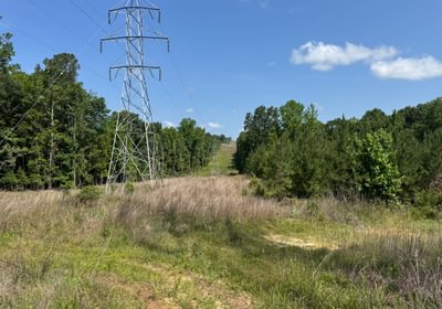202 IMG 7604