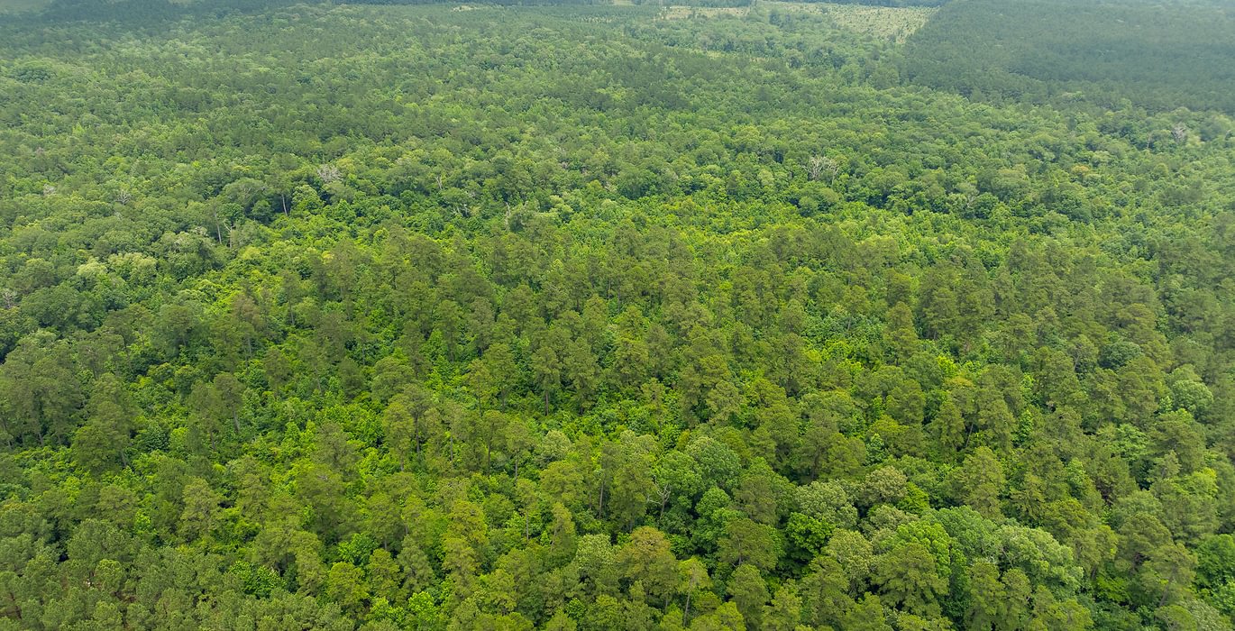 203 10 DJI 0903