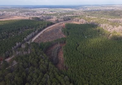 203 DJI 20260205163735 0024 D