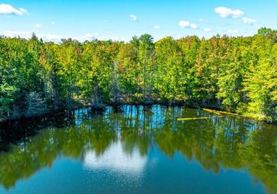 204 20260910 Horseshoe Lake Trina 20