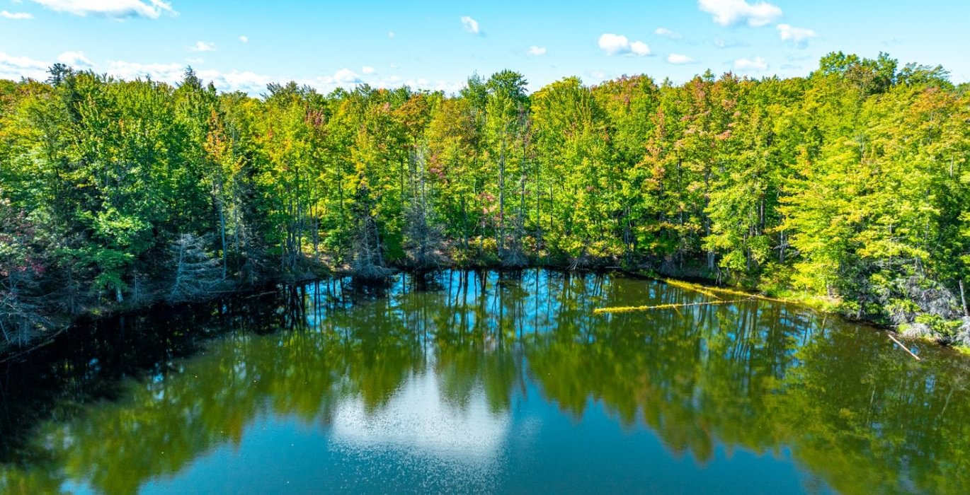 204 20260910 Horseshoe Lake Trina 20