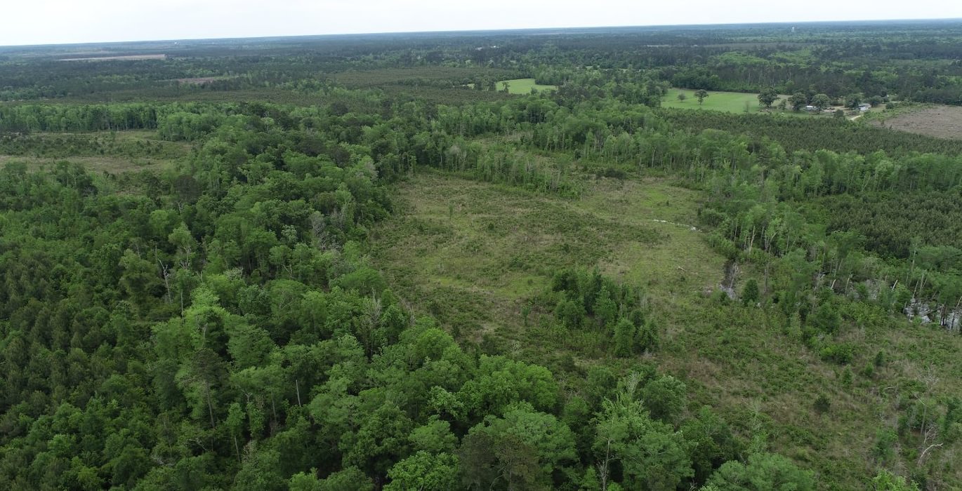 204 DJI 0453