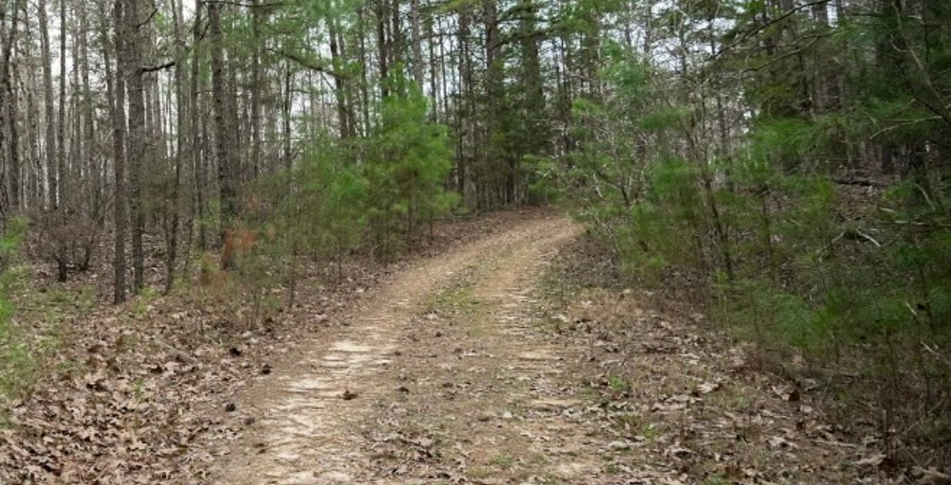 204 IMG 2894