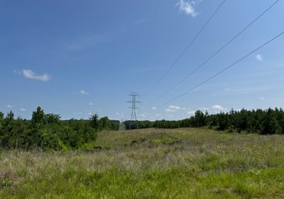 204 IMG 7599