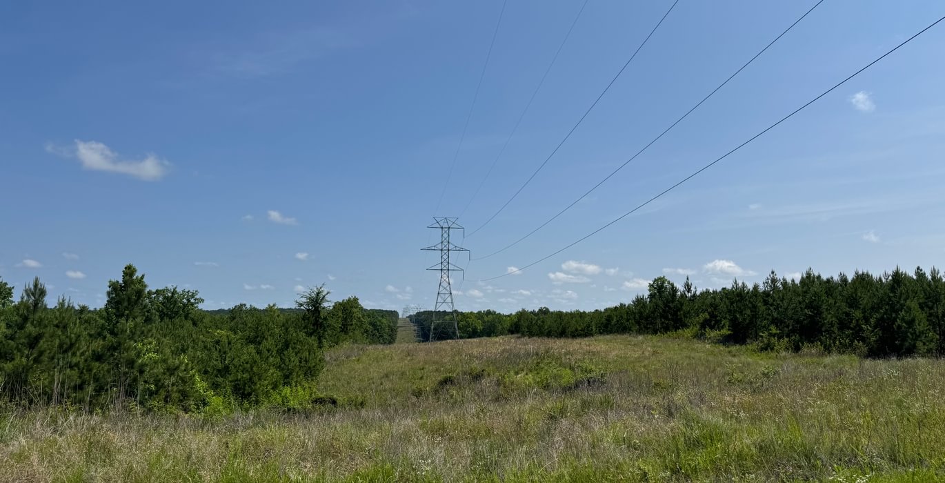 204 IMG 7599