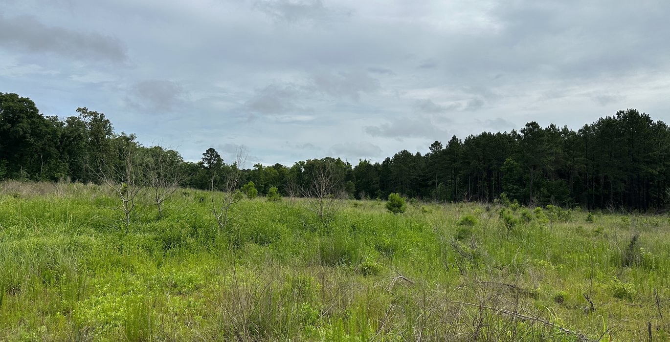 204 IMG 7728