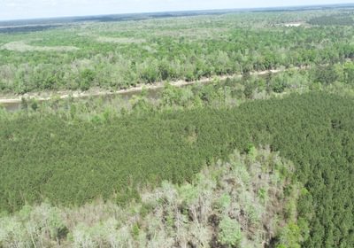 205 DJI 0398