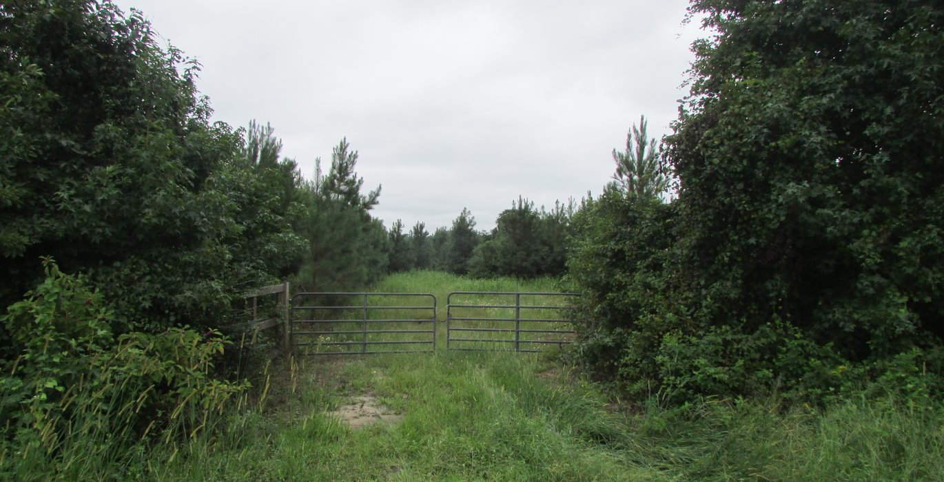 207 002 IMG 0888