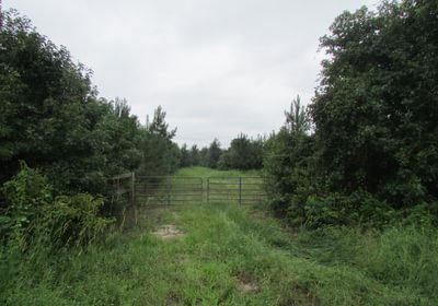 207 002 IMG 0888