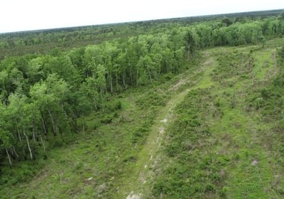 209 DJI 0137