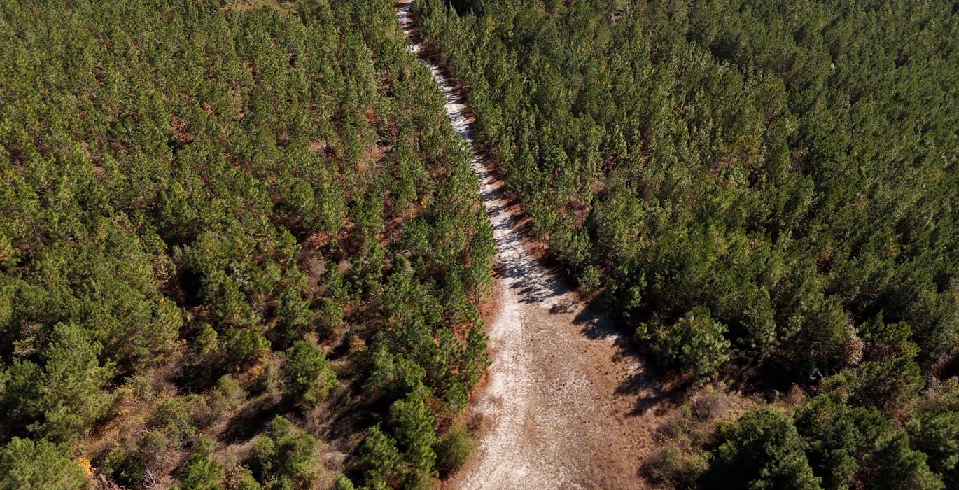 20 AFM Bladen 339 Photo 22