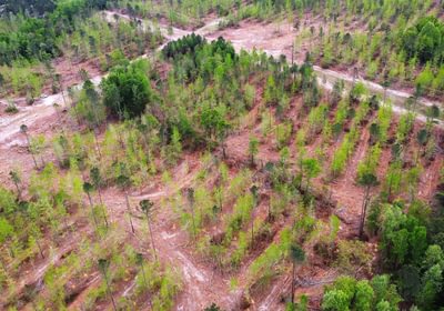 20 dji fly 20260407 144742 210 1775587864826 photo optimized