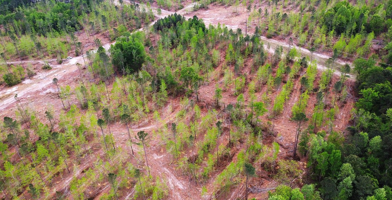 20 dji fly 20260407 144742 210 1775587864826 photo optimized