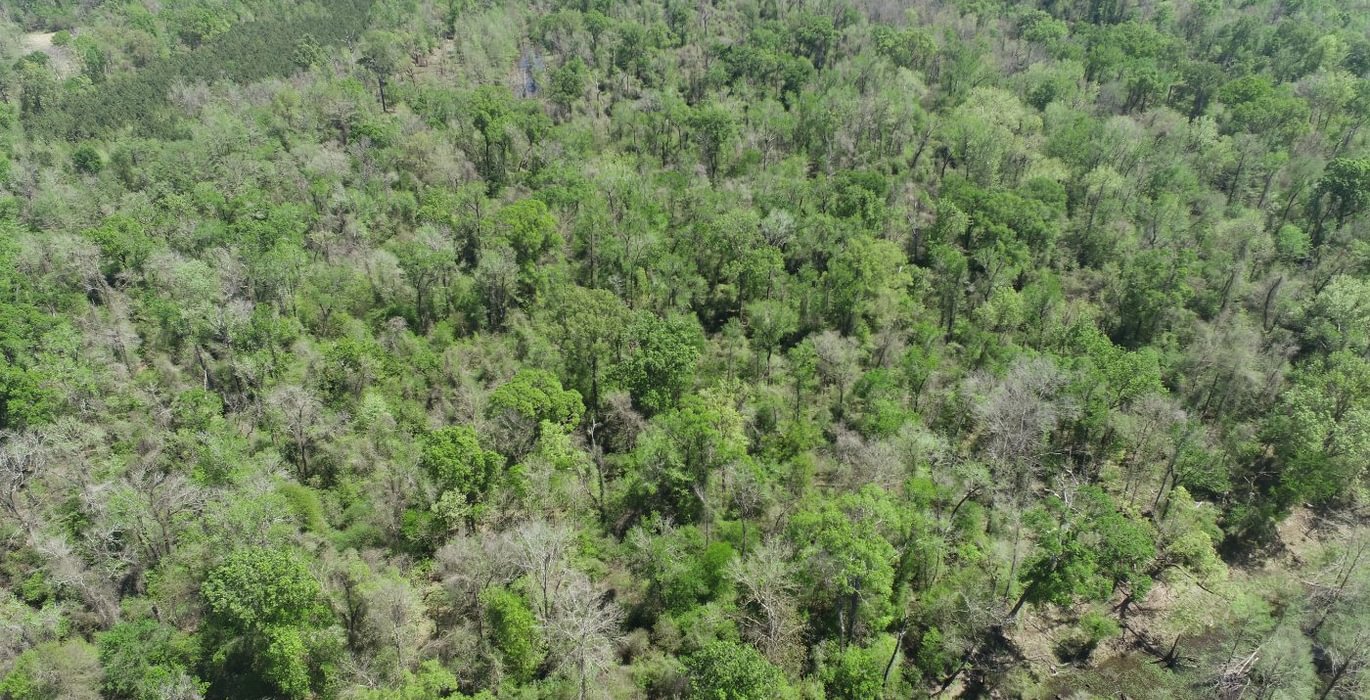 212 DJI 0528